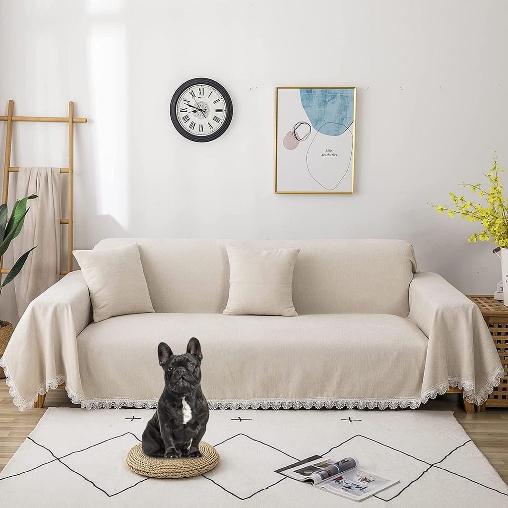Couch Living Room
