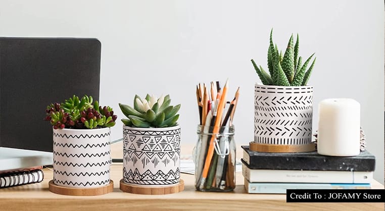 planters for succulents