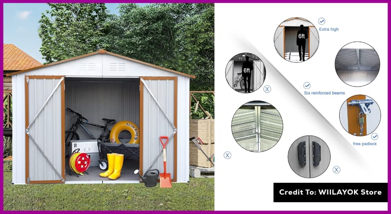 Shed with Garage Door