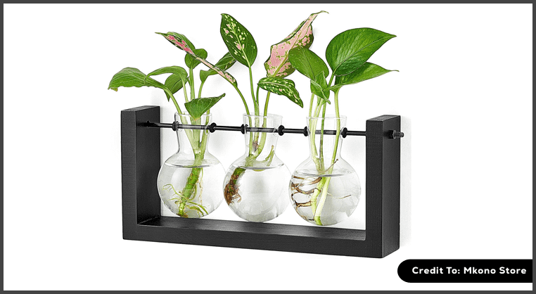 Propagation Vase