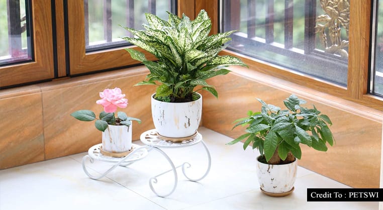 indoor decorative planters