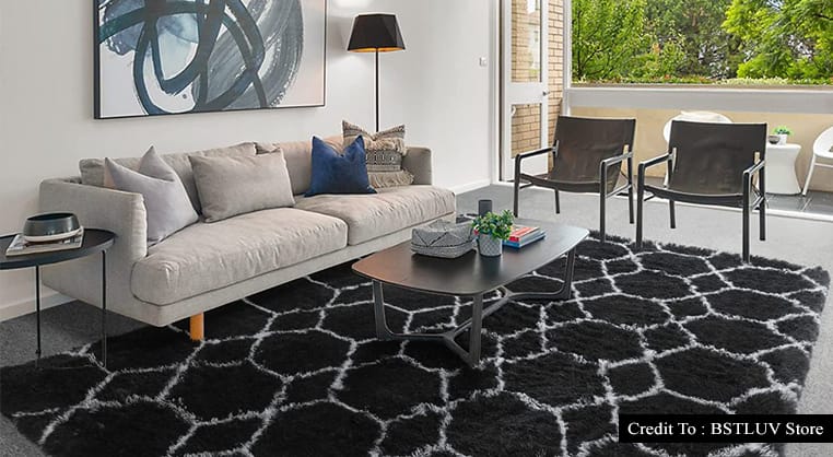 black and white living room rug