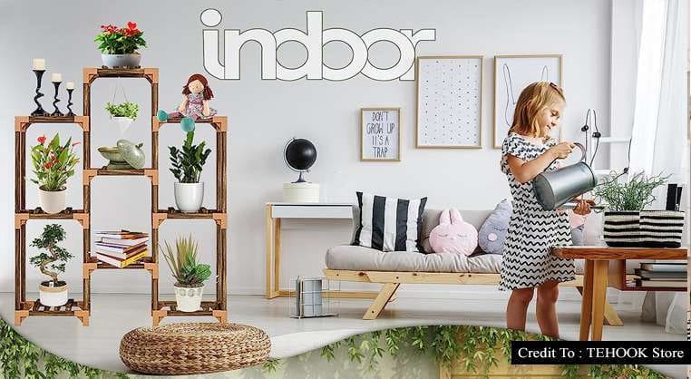 multiple plants stand indoor